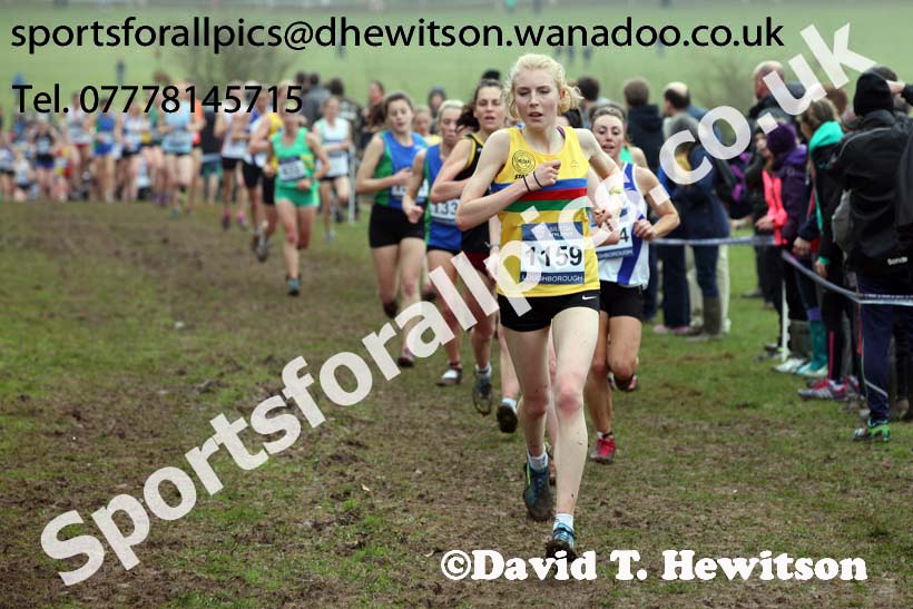 Senior womens Inter Counties Cross Country, Prestwold Hall, Loughborough. Photo: David T. Hewitson/Sports for All Pics